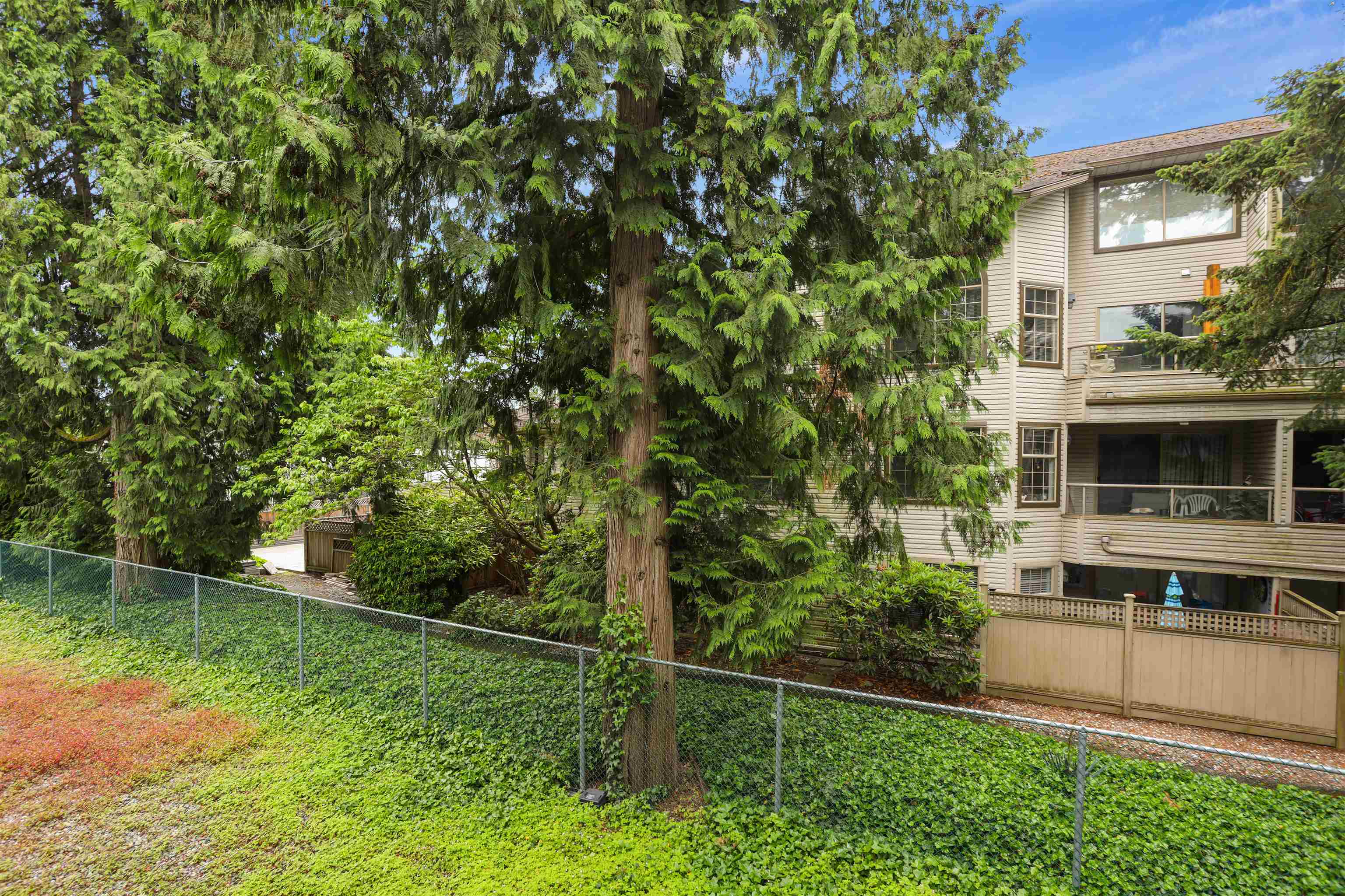 205-1948 COQUITLAM AVENUE, Port Coquitlam, British Columbia V3B 1J3 Apartment/Condo, 1 Bedroom, 1 Bathroom, Residential Attached,For Sale, MLS-R2896737