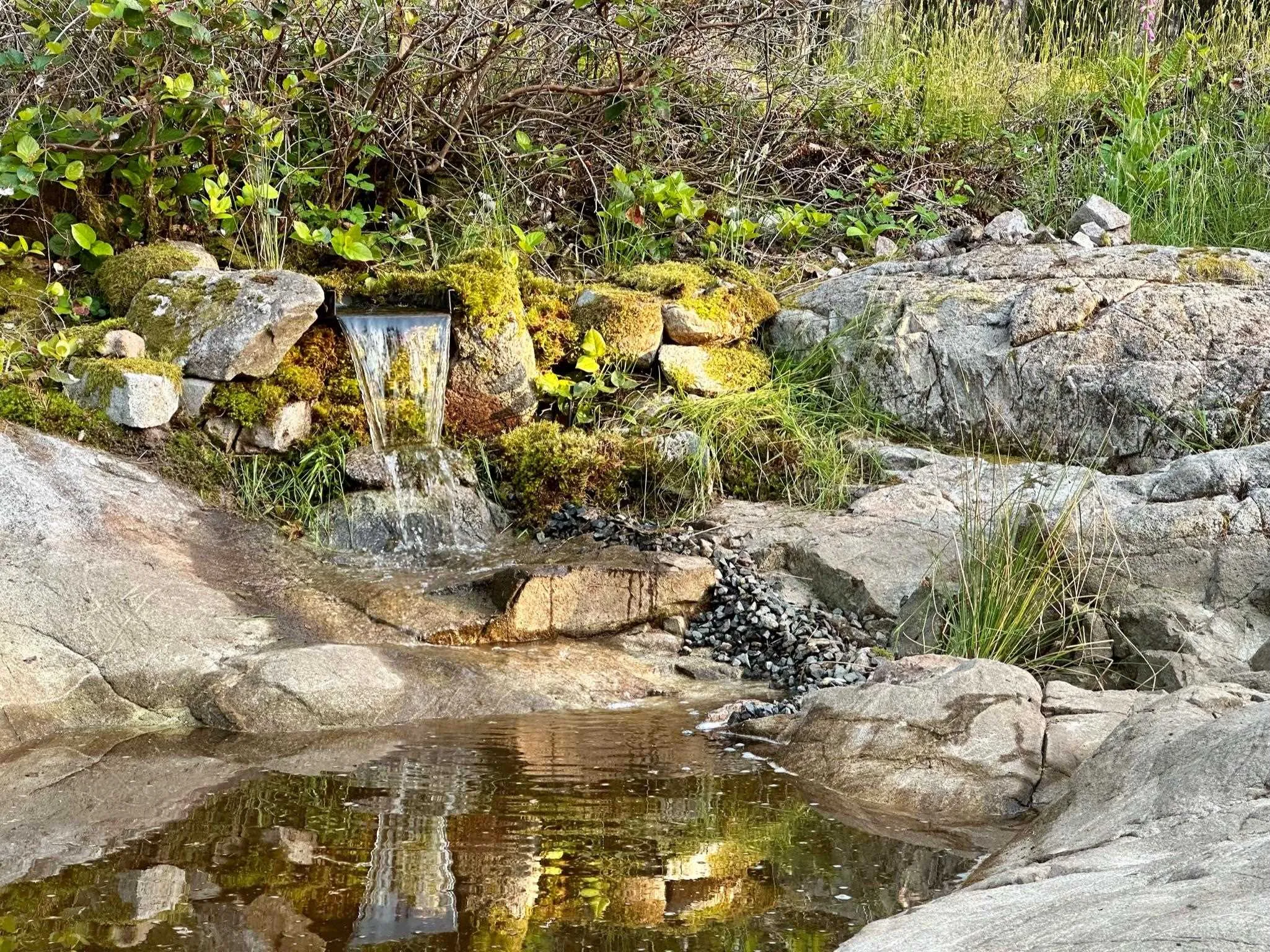 A unique solid granite water feature brings frogs, salamanders, birds and other wildlife to this picturesque lot. Must be seen in person.