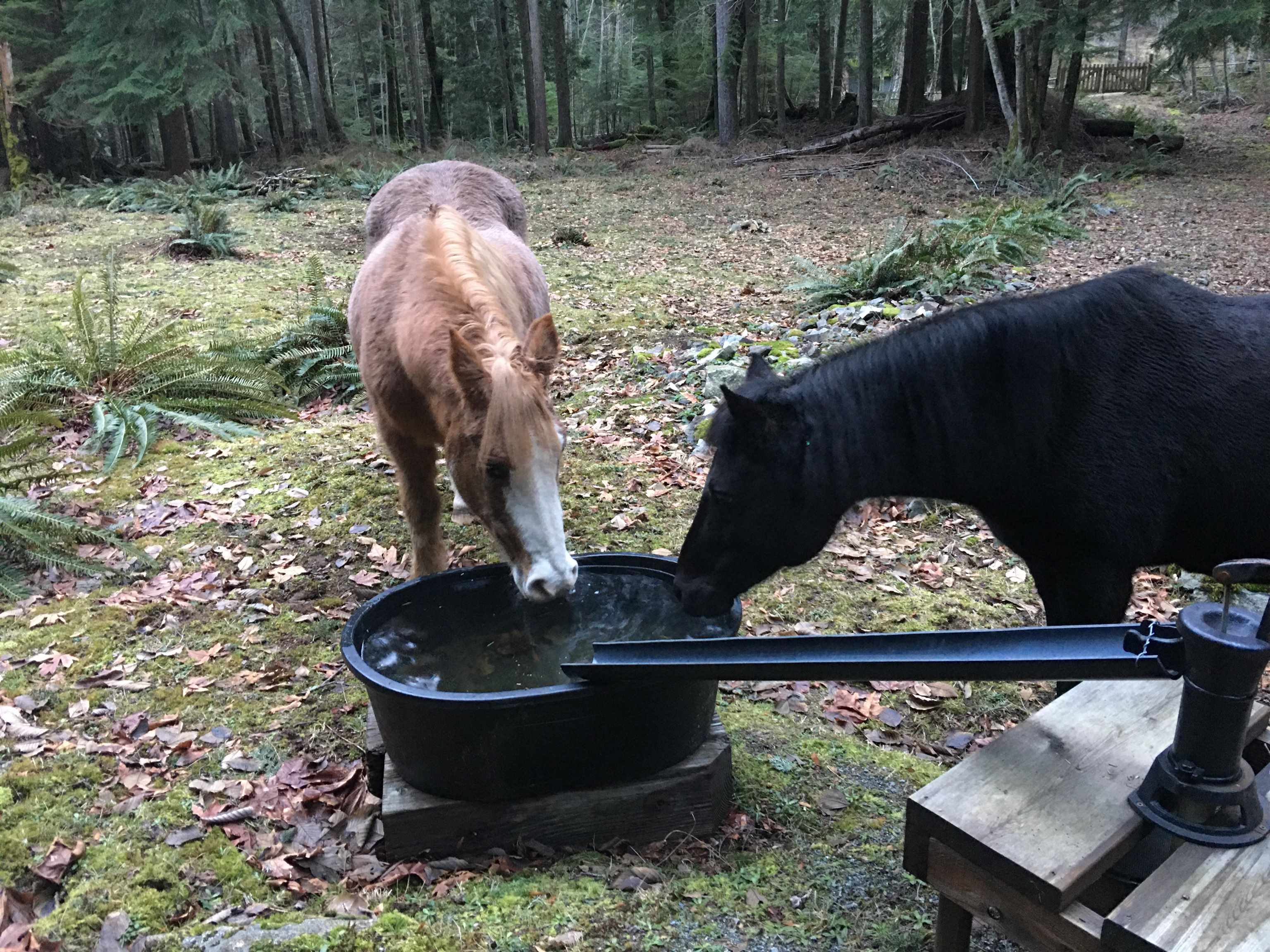 Water Well