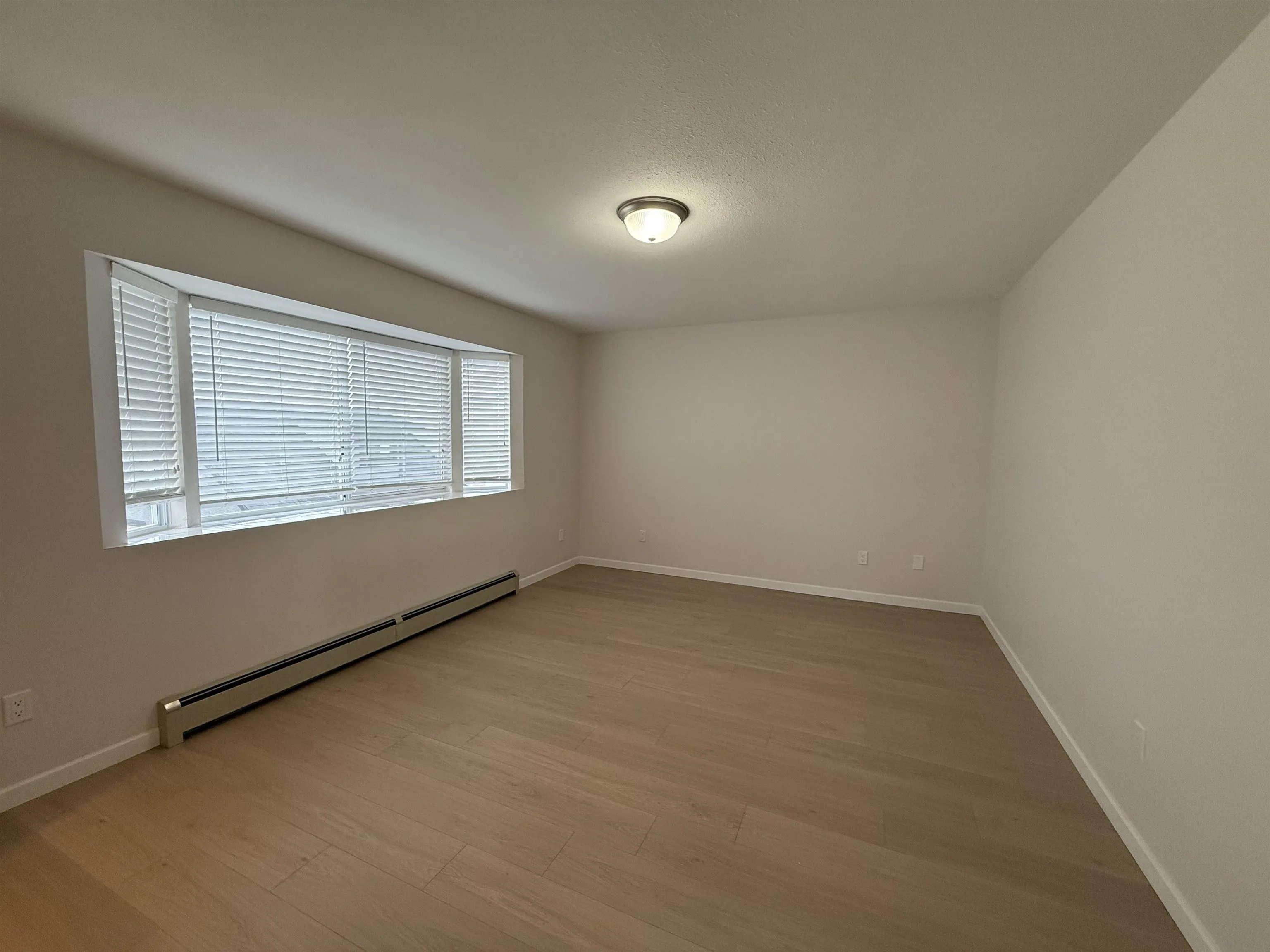 Spacious primary bedroom with walk in closet and new bathroom.