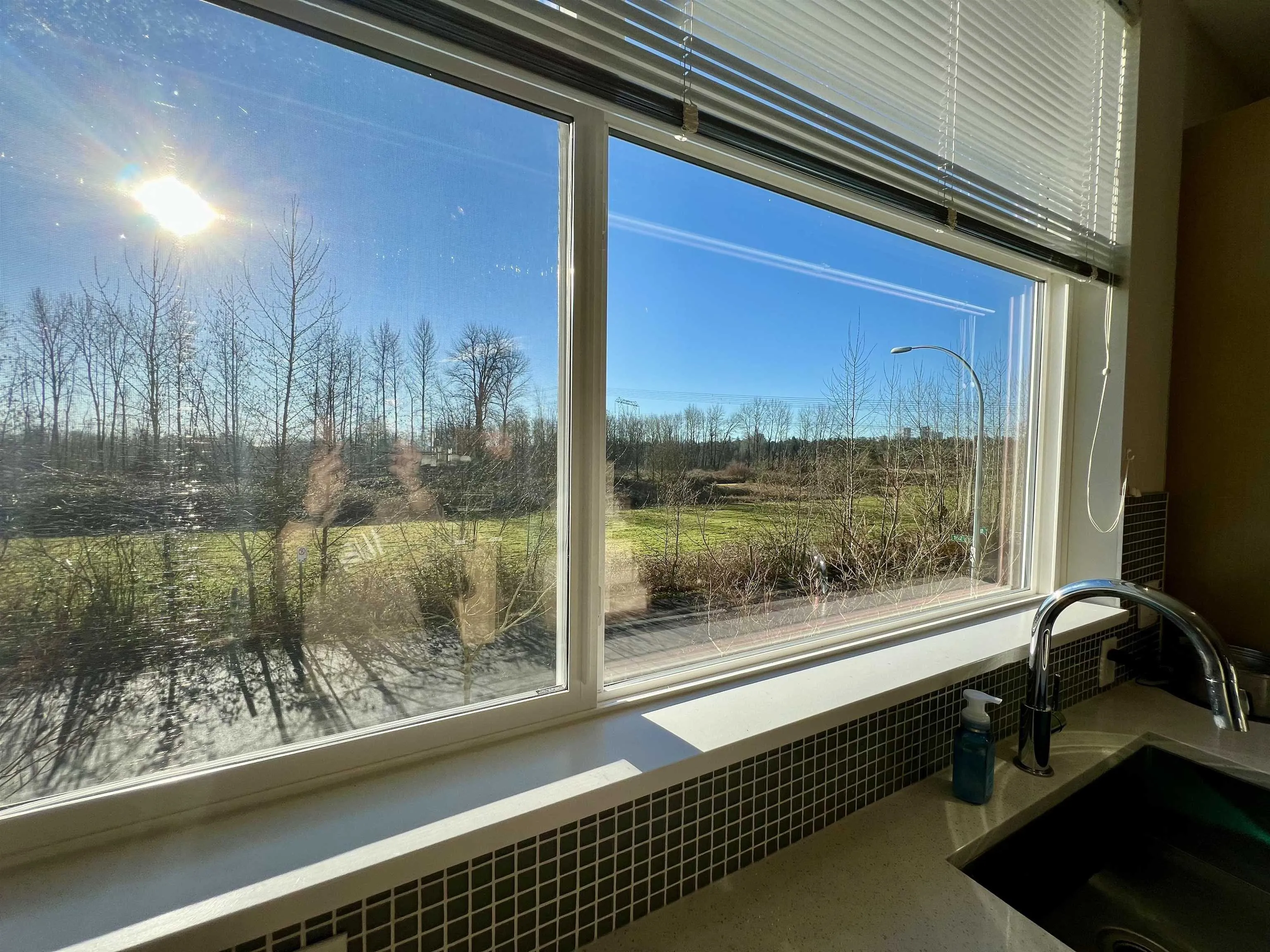 View to Greenspace from Kitchen sink